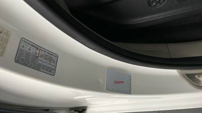 2019 KIA CARNIVAL imperfections