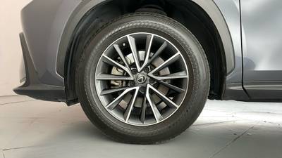 2023 LEXUS NX250 gallery