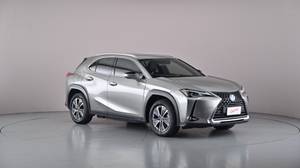 2022 Lexus UX300e