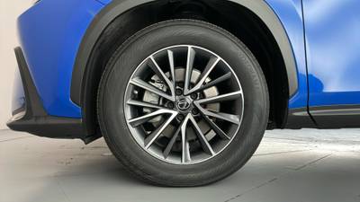 2022 LEXUS NX350h gallery