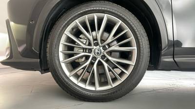 2024 Lexus NX350H gallery