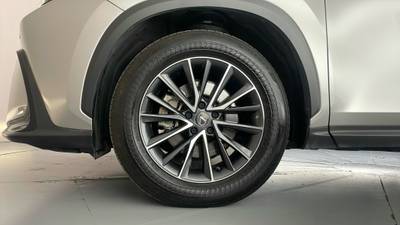 2023 LEXUS NX350h gallery
