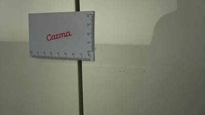 2019 NISSAN LEAF imperfections