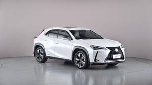 2019 Lexus UX250h