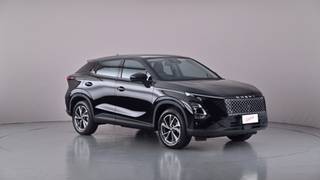2025 CHERY C5
