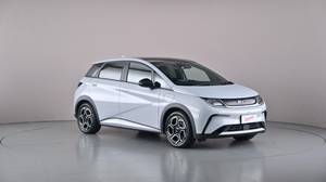 2025 BYD Dolphin