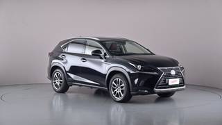 2019 LEXUS NX300H