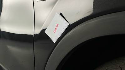 2017 LEXUS RX350 SPORT imperfections